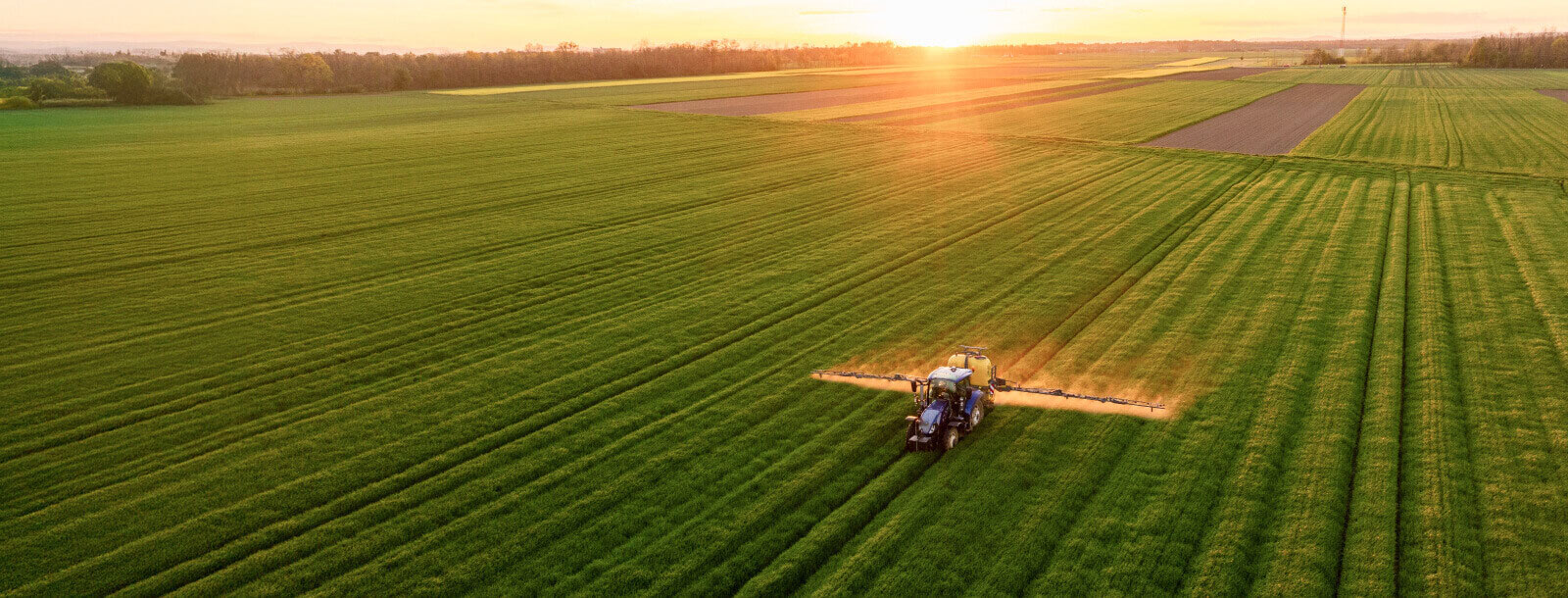 Aerial photo of a tractor crossing a field of crops